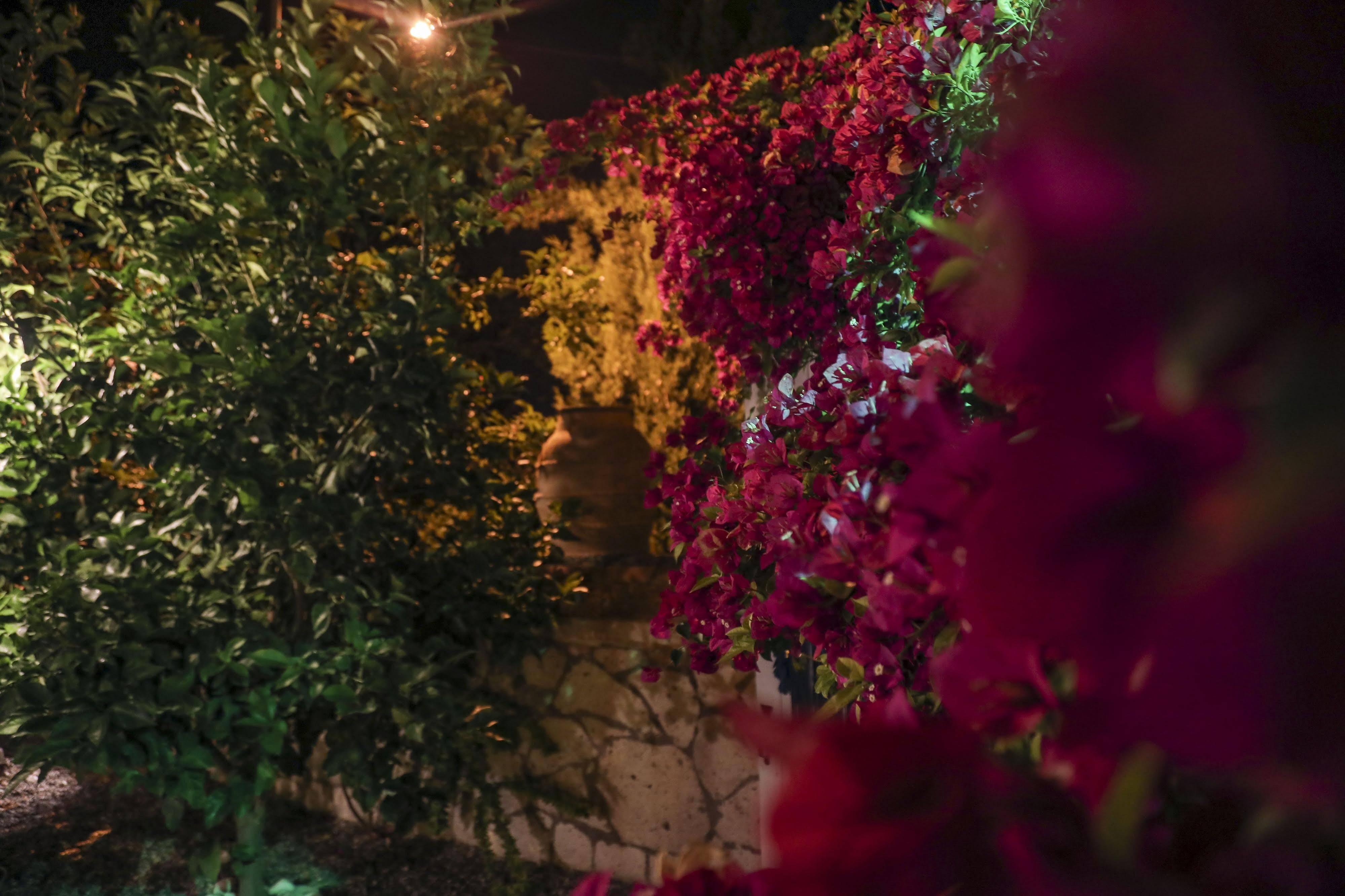 Sari Gelin Alacati Hotel Buitenkant foto